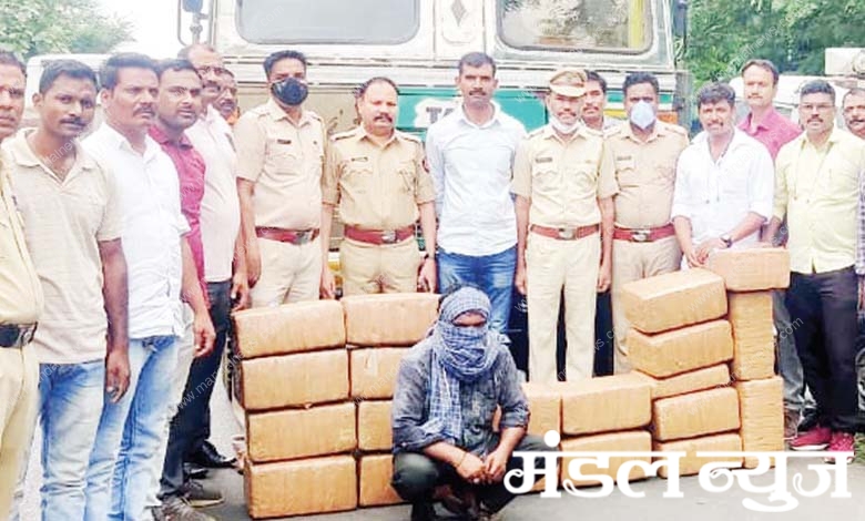 hemp-dealer-amravati-mandal