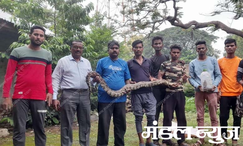 snake-amravati-mandal