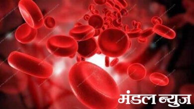 Hemoglobin-amravati-mandal