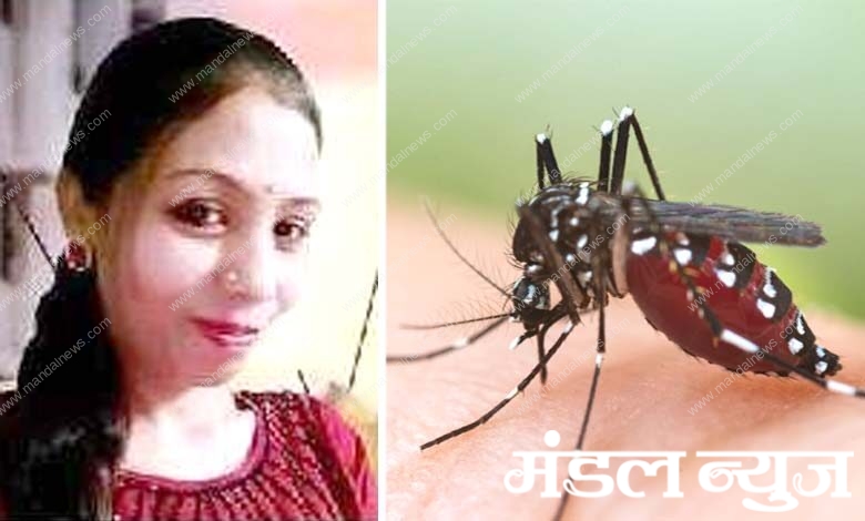 Dengue-Amravati-Mandal