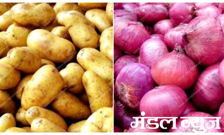 Onion-Potato-amravati-mandal