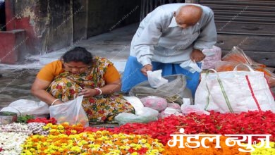 Flower-Amravati-Mandal