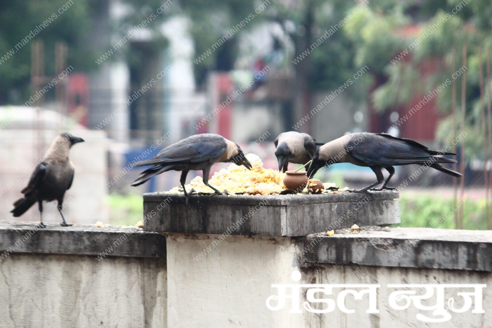 photo-caption-amravati-mandal