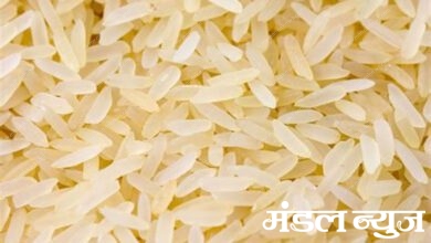 Rice-Amravati-Mandal