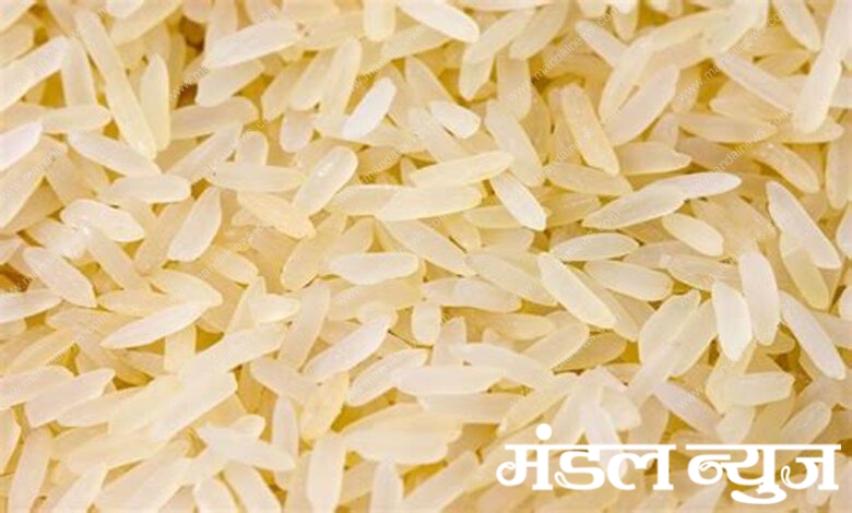 Rice-Amravati-Mandal