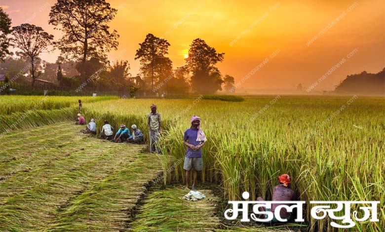 agriculture-amravati-mandal