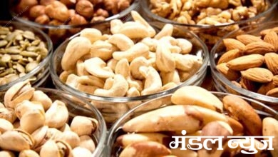 dry-fruits-amravati-mandal