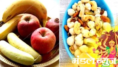 fruits-amravati-mandal