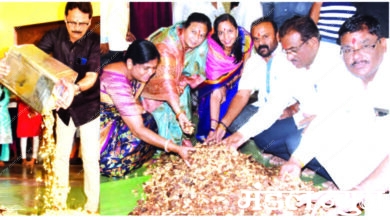 Dry-Fruits-amravati-mandal