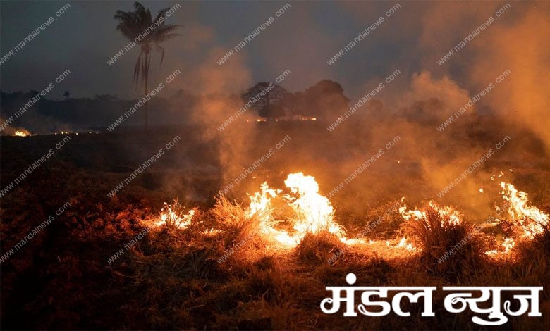 Soybean-Set-on-Fire-amravati-mandal