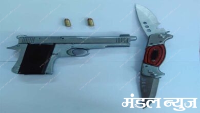 Pistol-Amravati-Mandal