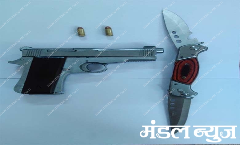 Pistol-Amravati-Mandal