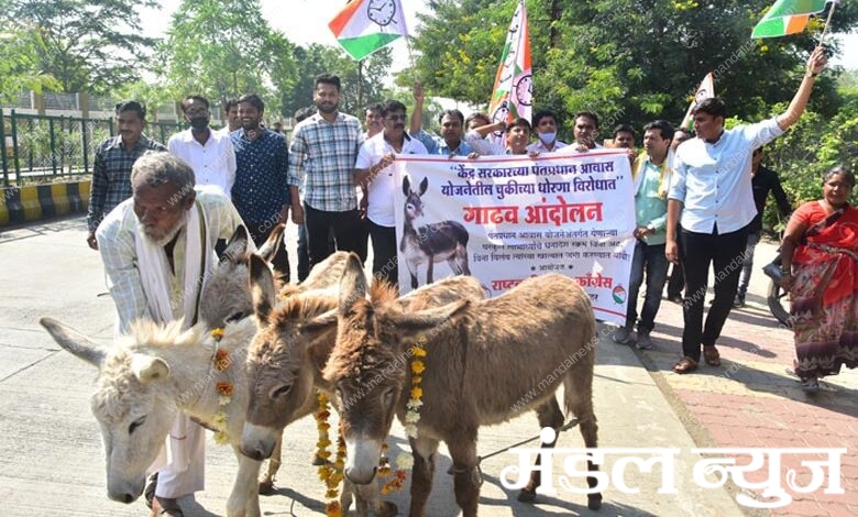 Rashtrawadi Youth-Amravati-Mandal