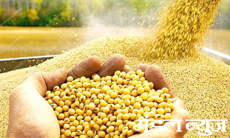 Soybean-amravati-mandal