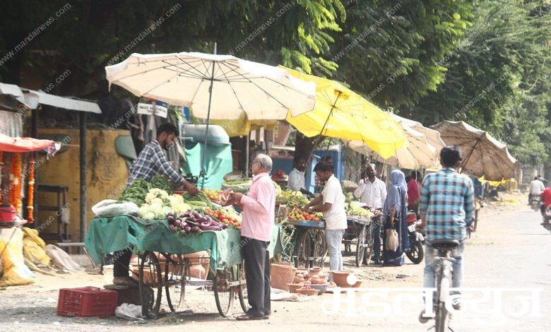 Vegetables-amravati-mandal