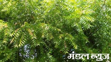 Neem-Amravati Mandal