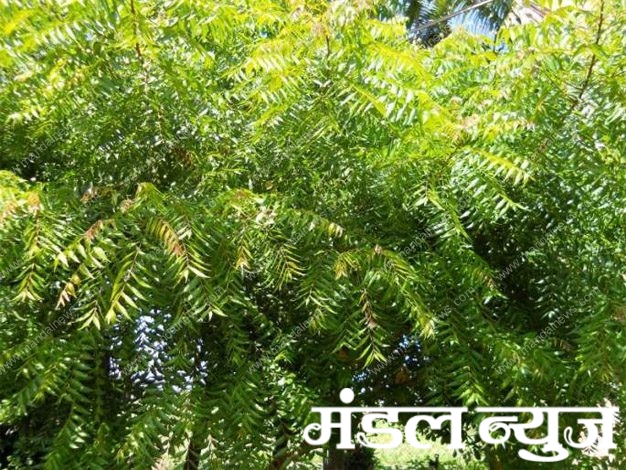 Neem-Amravati Mandal