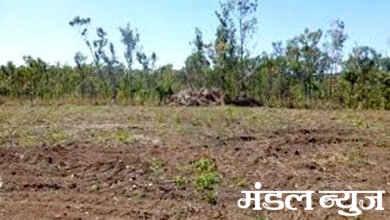 Plot-amravati-mandal