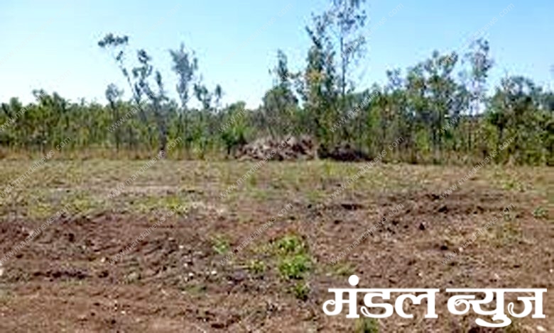 Plot-amravati-mandal