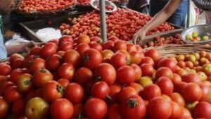 Tomato-Amravati Mandal
