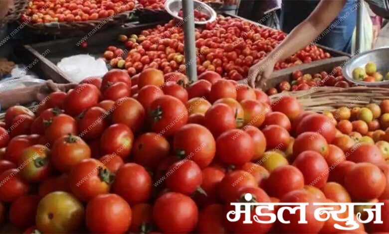 Tomato-Amravati Mandal