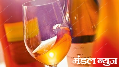 Orange-Winery-amravati-mandal