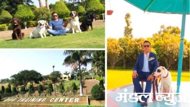 Dog-Training-Center-amravati-mandal