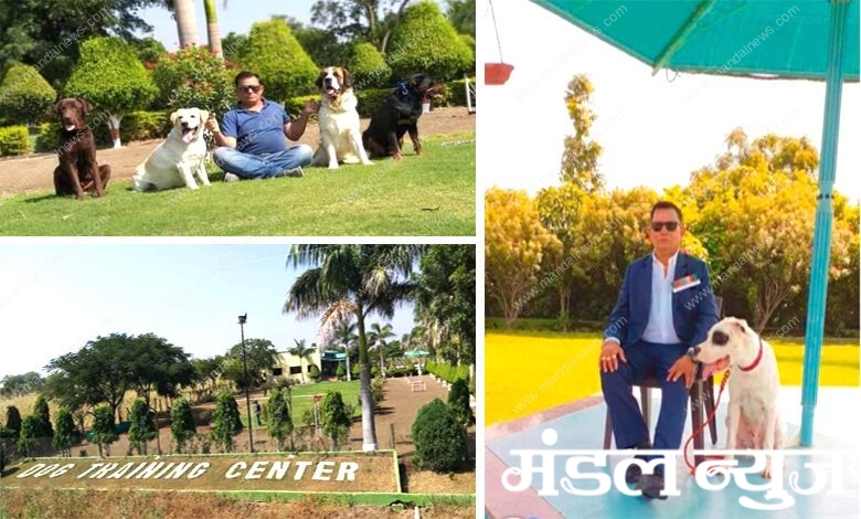 Dog-Training-Center-amravati-mandal