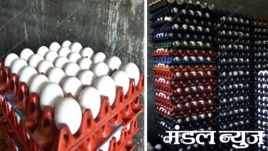 eggs-amravati-mandal