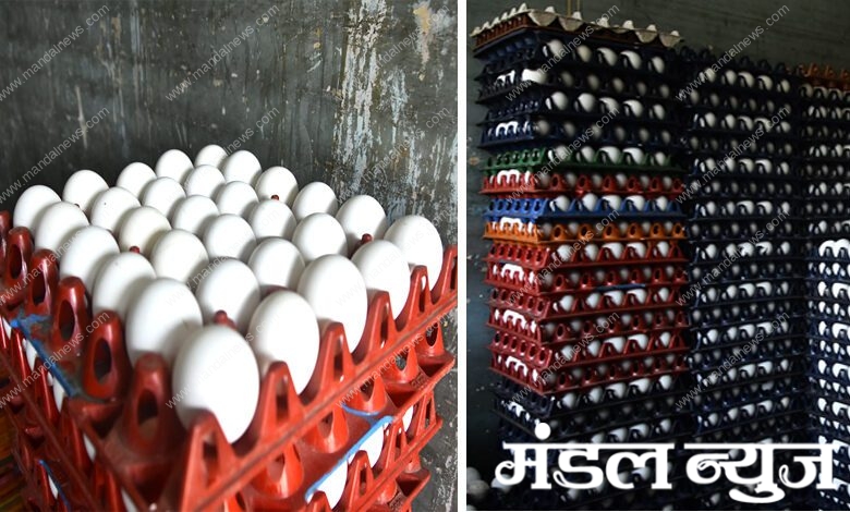 eggs-amravati-mandal