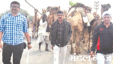camel-amravati-mandal