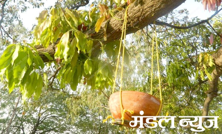 Birds-Water-Pot-amravati-mandal