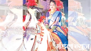 Horses-amravati-mandal