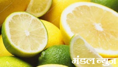 Lemon-amravati-mandal