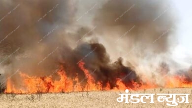Fire-in-Wheat-Barn-amravati-mandal