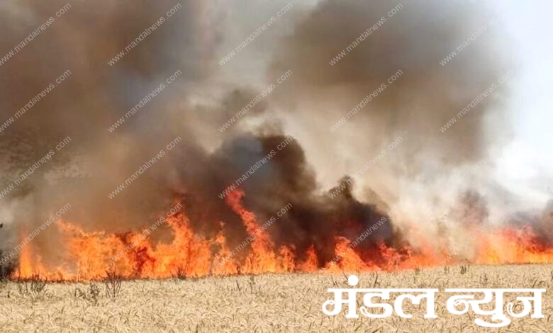 Fire-in-Wheat-Barn-amravati-mandal